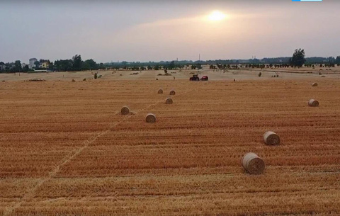 微視頻︰秸稈打包!麥田新風景